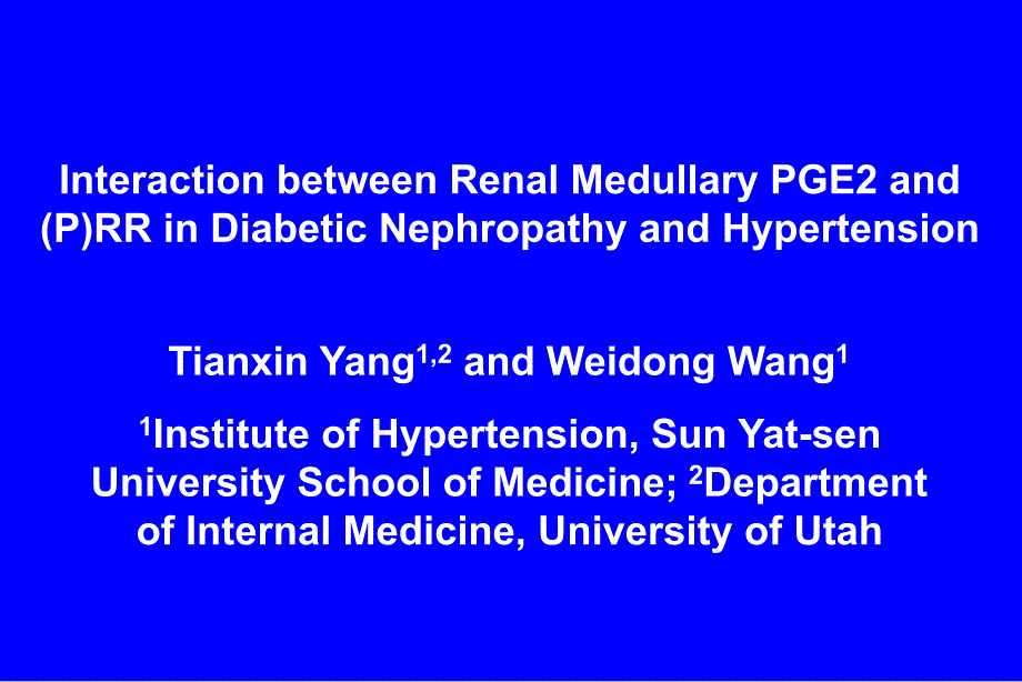 肾髓质pge及肾素受体在糖尿病肾病和高血压中的作用课件_第1页