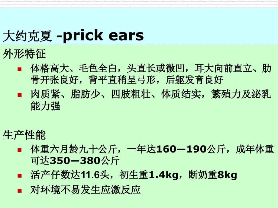 农业大学 猪生产学 教学课件 河南农业大学 第3章 猪的品种（2）_第5页