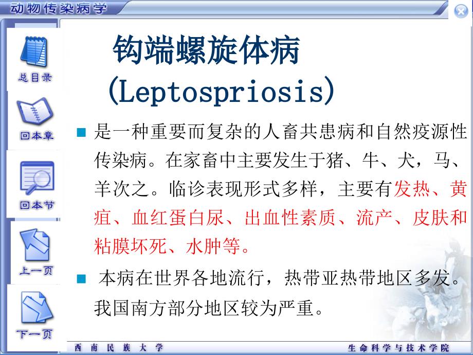 畜牧课件钩端螺旋体病_第1页