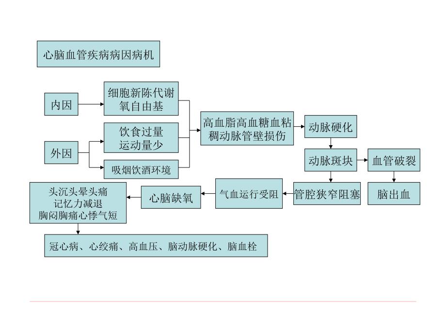 心脑血管疾病常识jiandan1基础医学医药卫生专业资料课件_第4页