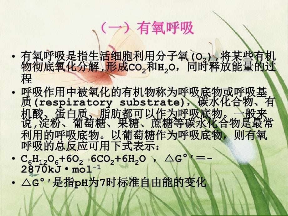 中国科学院大学植物生理学课件第四章 植物的呼吸作用_1_第5页