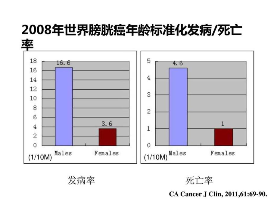 膀胱癌诊疗指南（非肌层浸润性）图文课件_第2页