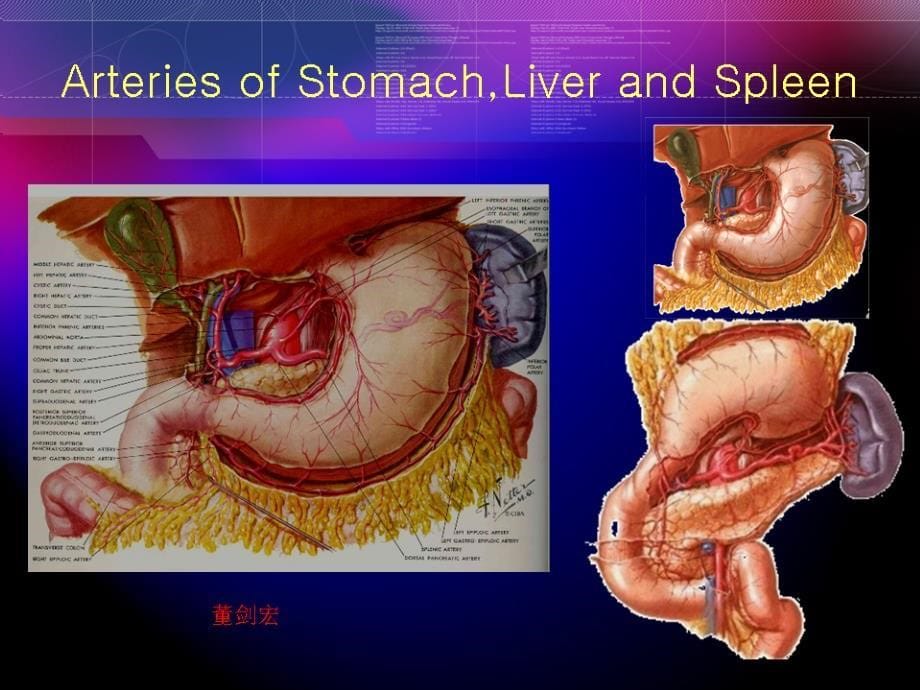 腹腔镜胃癌根治术（董剑宏）课件_第5页