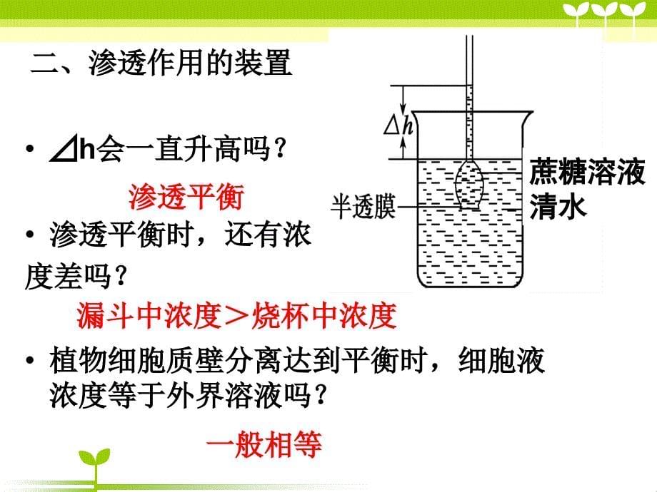 物质跨膜运输实例 讲课课件_第5页