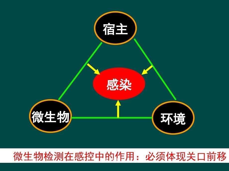 医院感染调查中微生物的检测应用sificppt课件_第5页