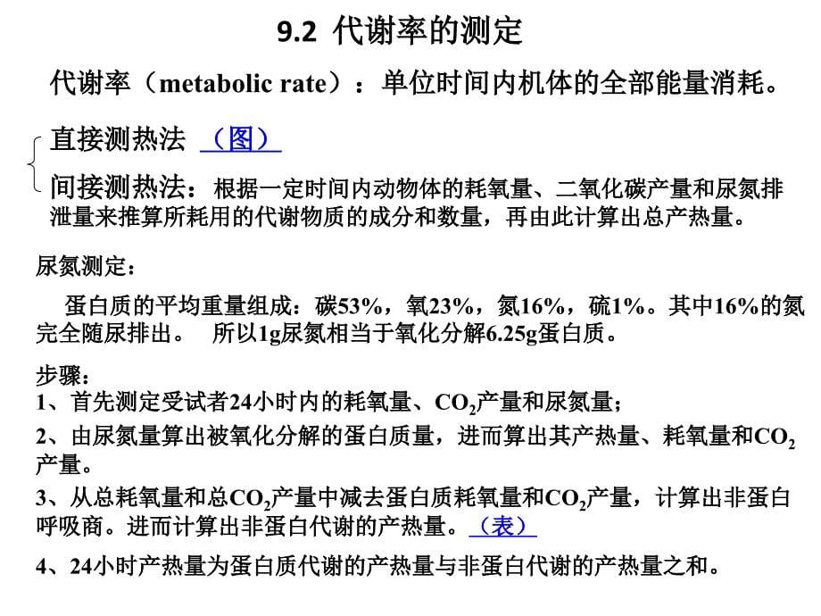 动物生理学第九章 能量代谢与体温调节课件_第5页