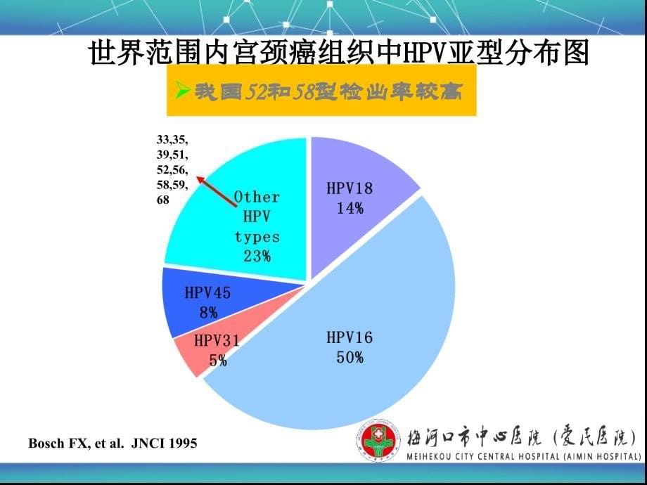 宫颈癌筛查课件_1_第5页