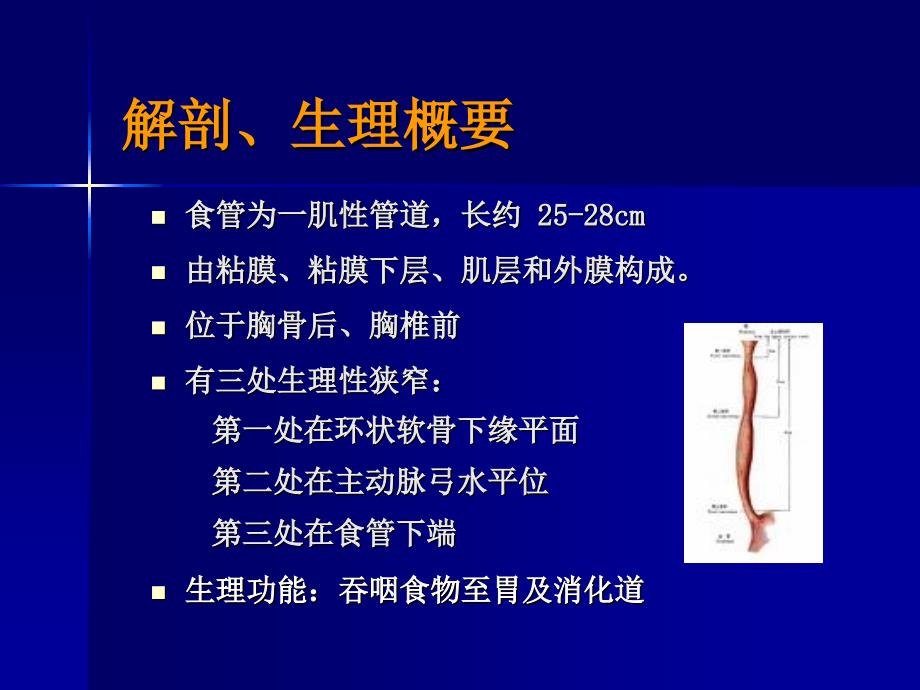 食道癌病人的护理课件_第3页