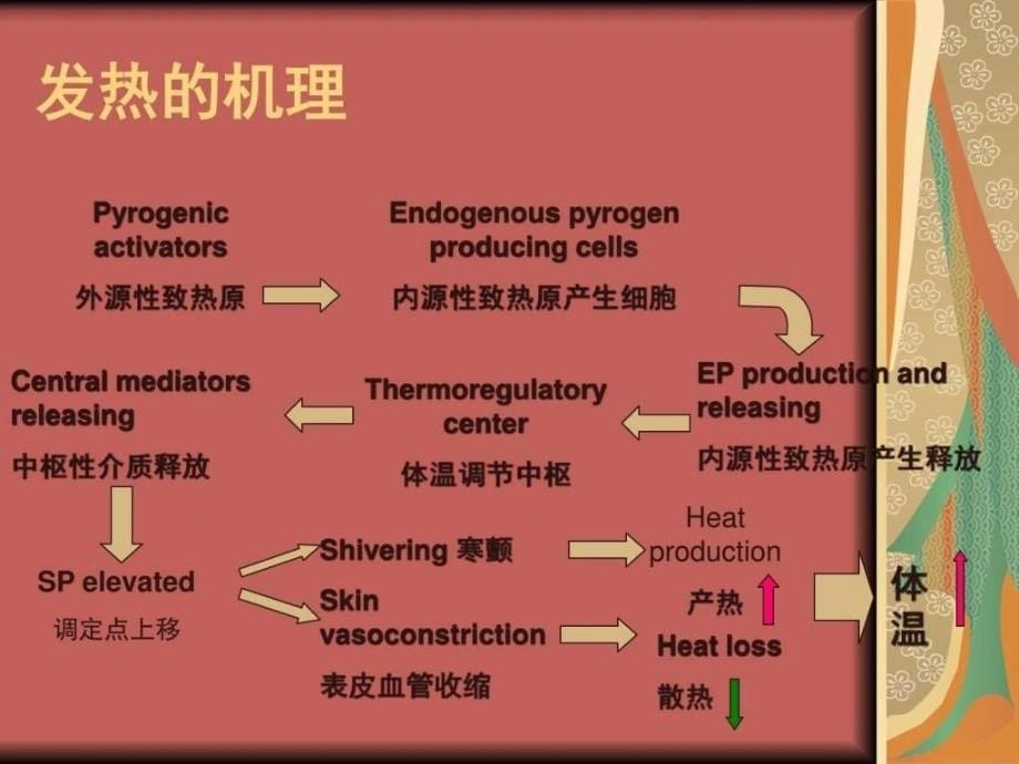 小儿高热惊厥讲解图文课件_第5页