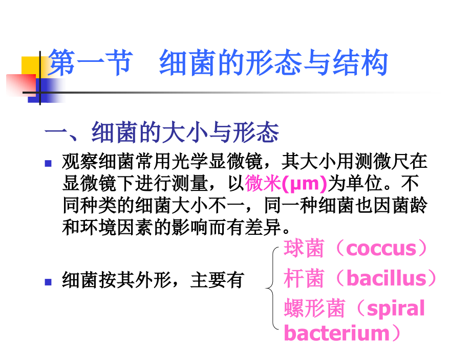 2011年1月28日细菌的基本性状细菌形态学课件_第2页