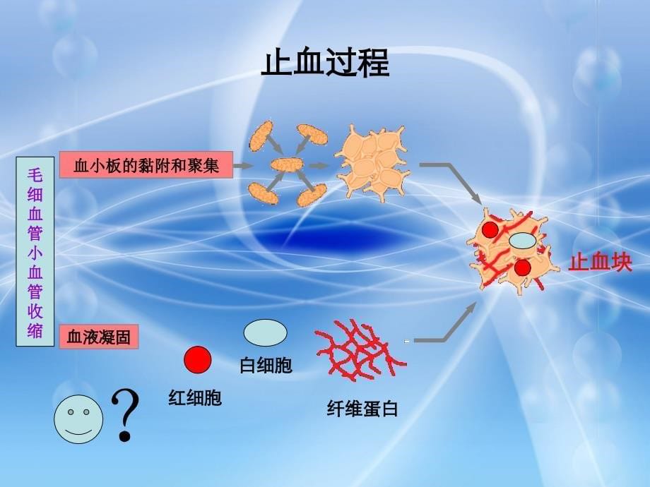 新生儿凝血功能障碍（终）课件_第5页