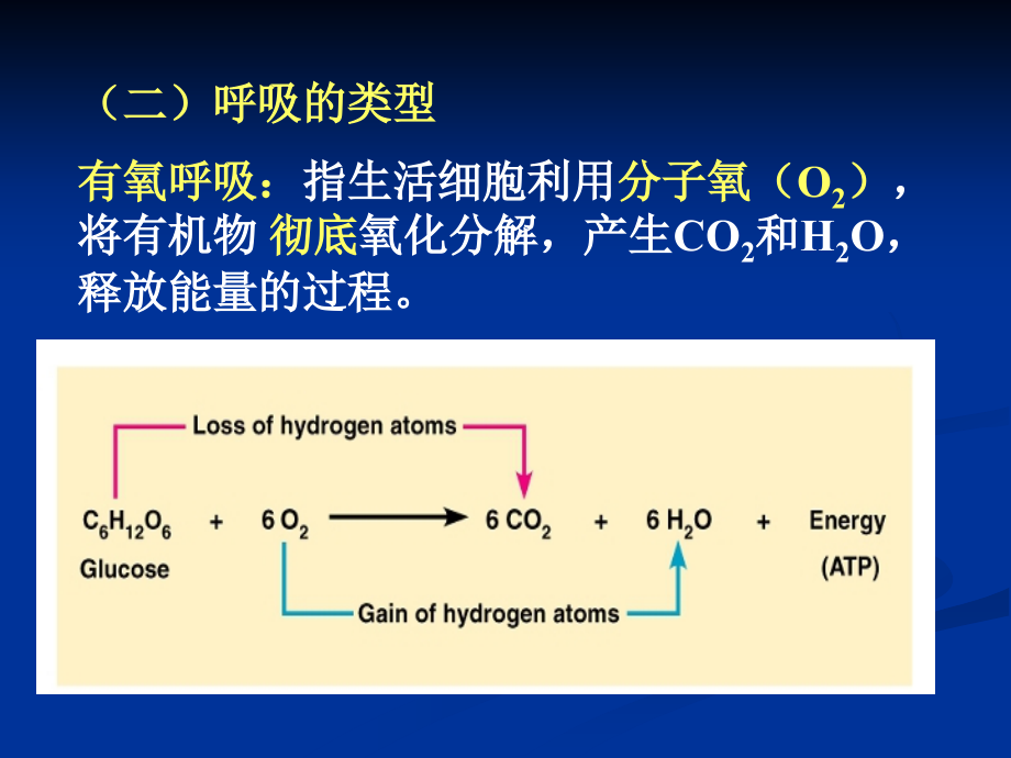 植物生理学标准课件6（植物的呼吸作用）_第3页