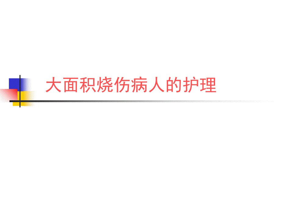 大面积烧伤病人的护理幻灯片ppt课件_第2页