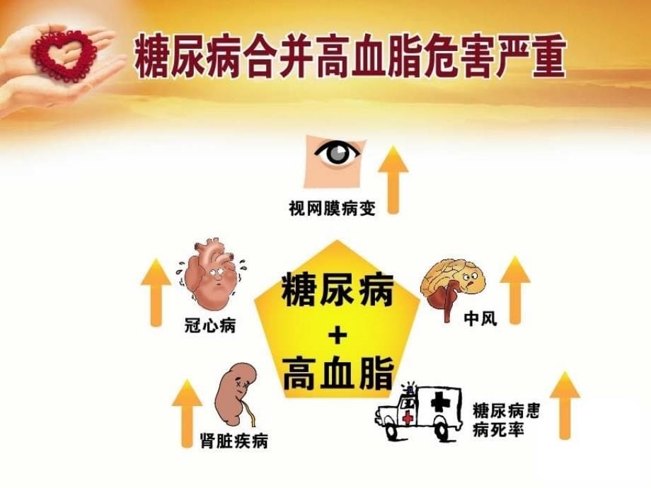 高血脂与糖尿病课件_第5页