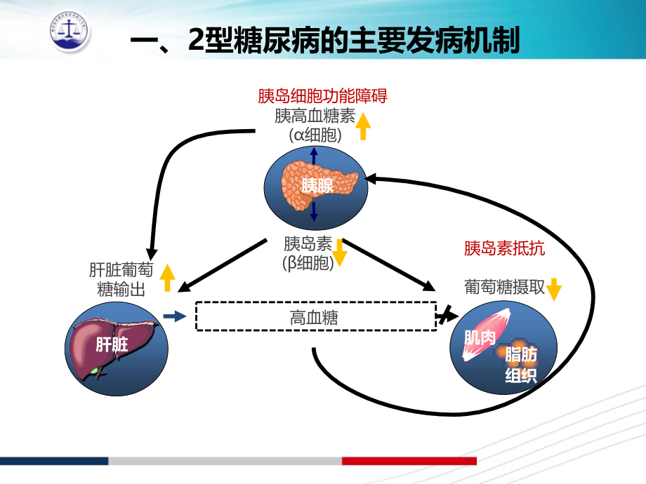 口服降糖药物使用选择路径解读课件_第3页