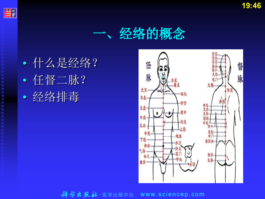 《中医护理学（高职案例版）》第4章经络精要课件_第2页