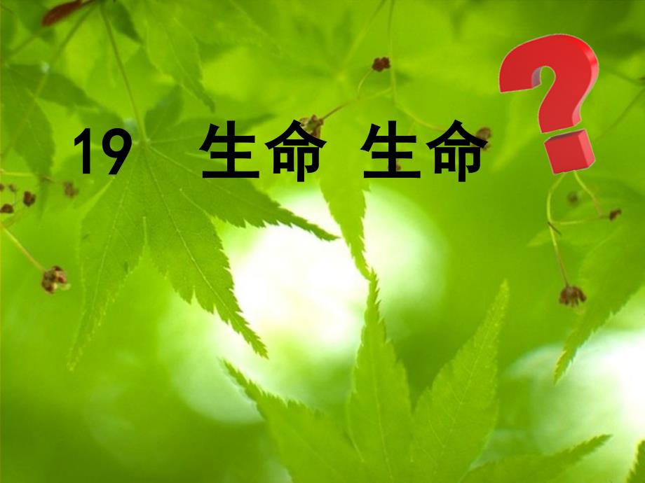 生命生命(参加第三届优秀教案评比)1_第2页