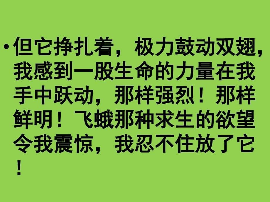 生命生命(参加第三届优秀教案评比)1_第5页