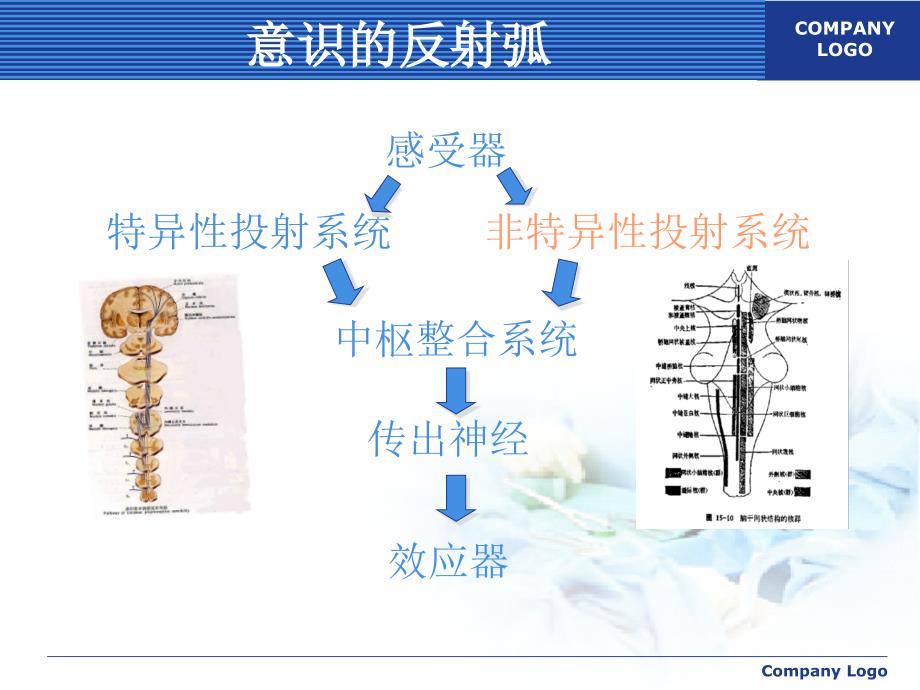 意识障碍讲课课件_第4页