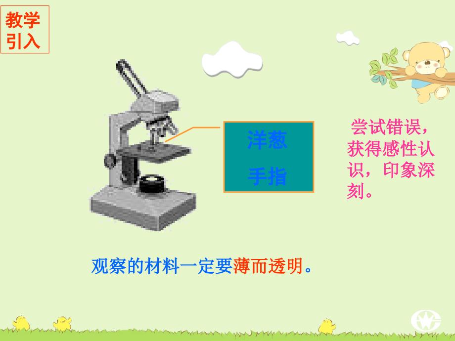 人教版生物七上第二节《 观 察 植 物 细 胞》ppt课件精品_第4页