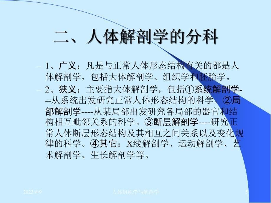 人体组织解剖学课件费下载_第5页