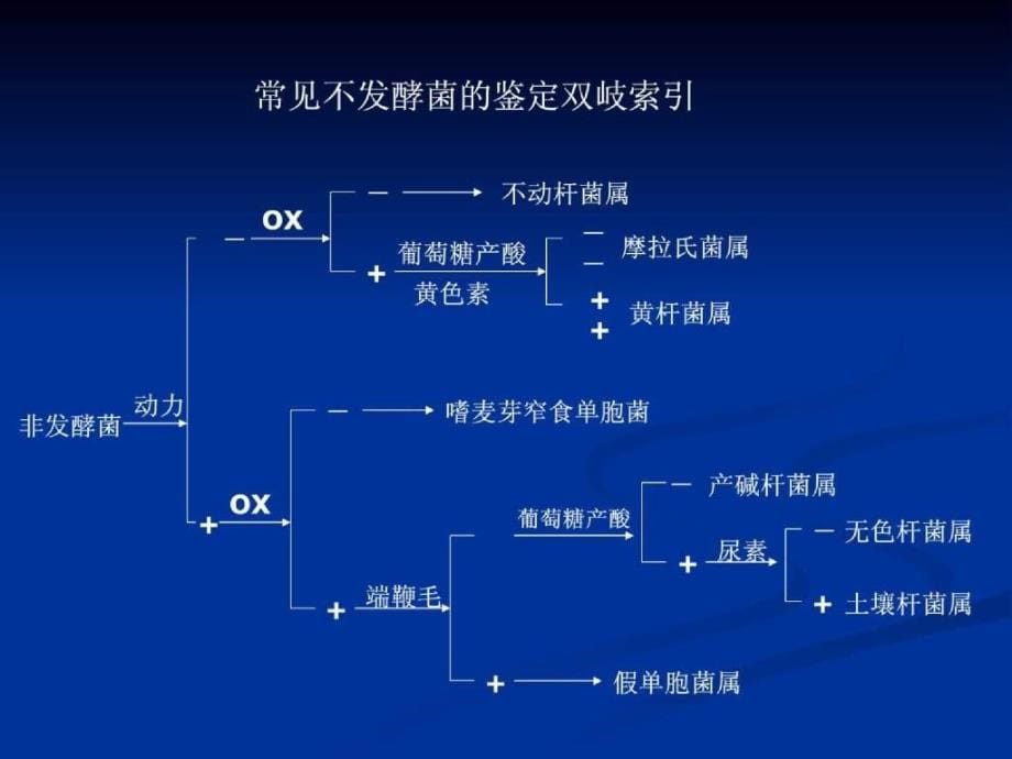 不发酵革兰阴性杆菌课件_2_第5页