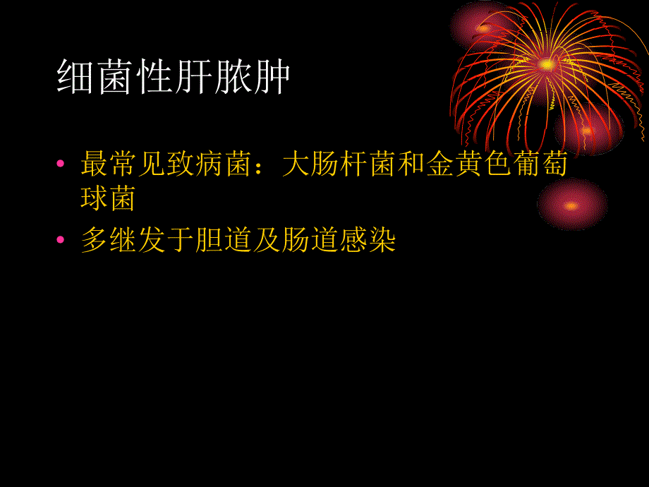 肝脓肿病人的护理课件_第3页