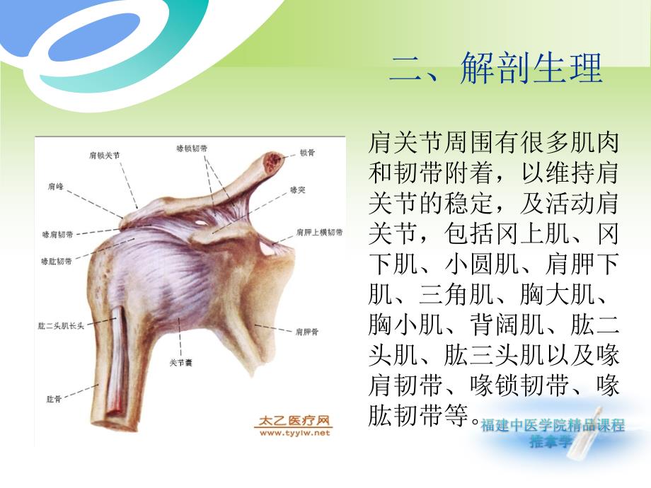 肩周炎（精）课件_2_第4页