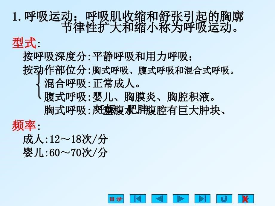 生理学课件呼吸ppt _第5页