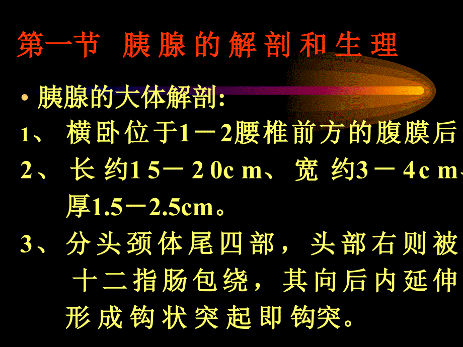 胰腺疾病教学ppt课件_第2页