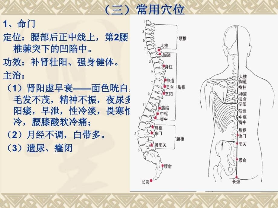 督脉任脉与经络美容ppt课件_第5页