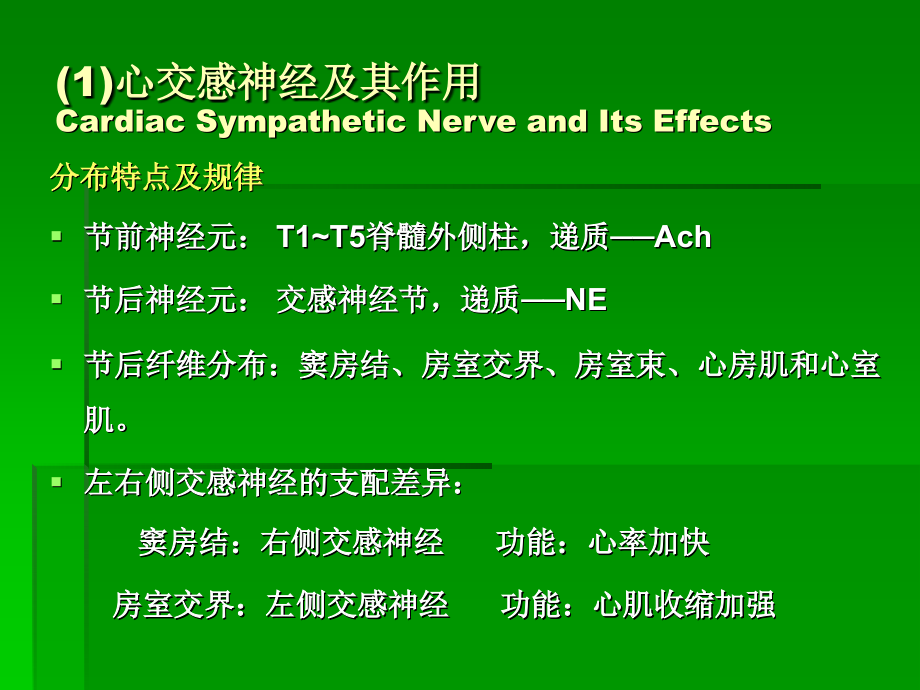 心血管活动的调节课件_7_第4页