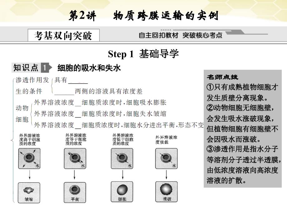 创新设计2012高考生物一轮复习 122物质跨膜运输的实例课件 新人教版_第1页