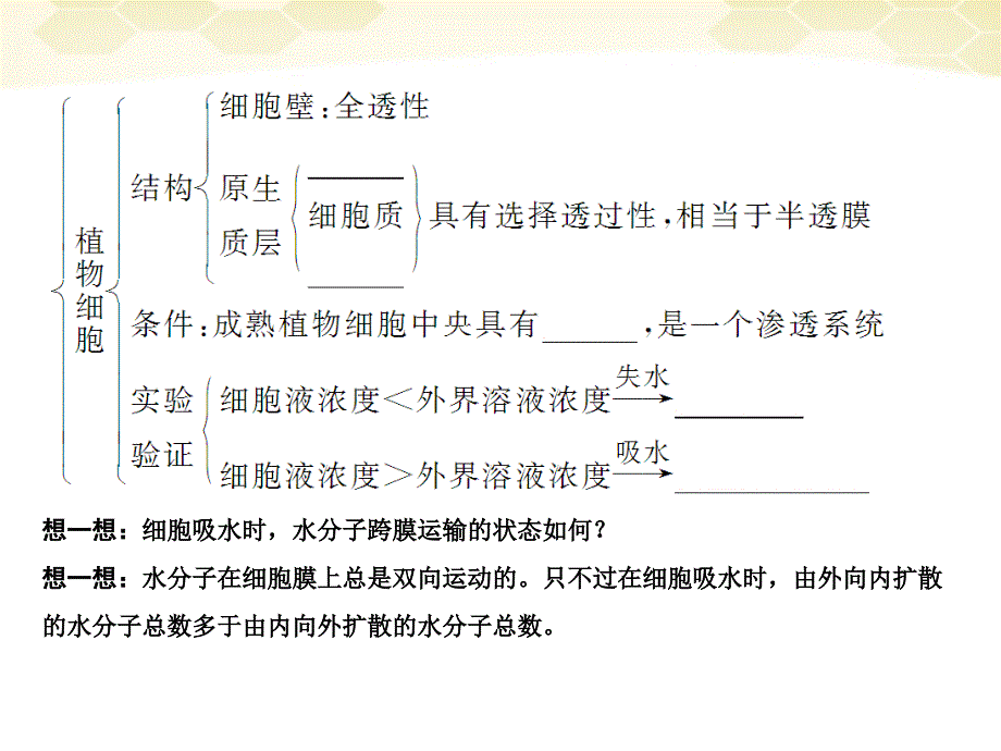 创新设计2012高考生物一轮复习 122物质跨膜运输的实例课件 新人教版_第2页