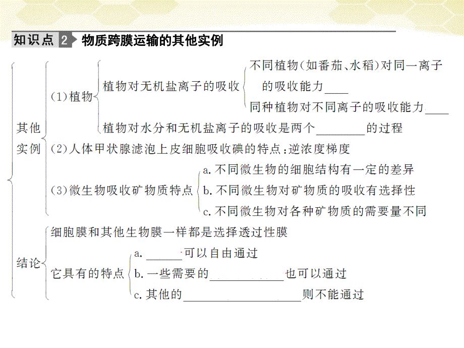 创新设计2012高考生物一轮复习 122物质跨膜运输的实例课件 新人教版_第4页