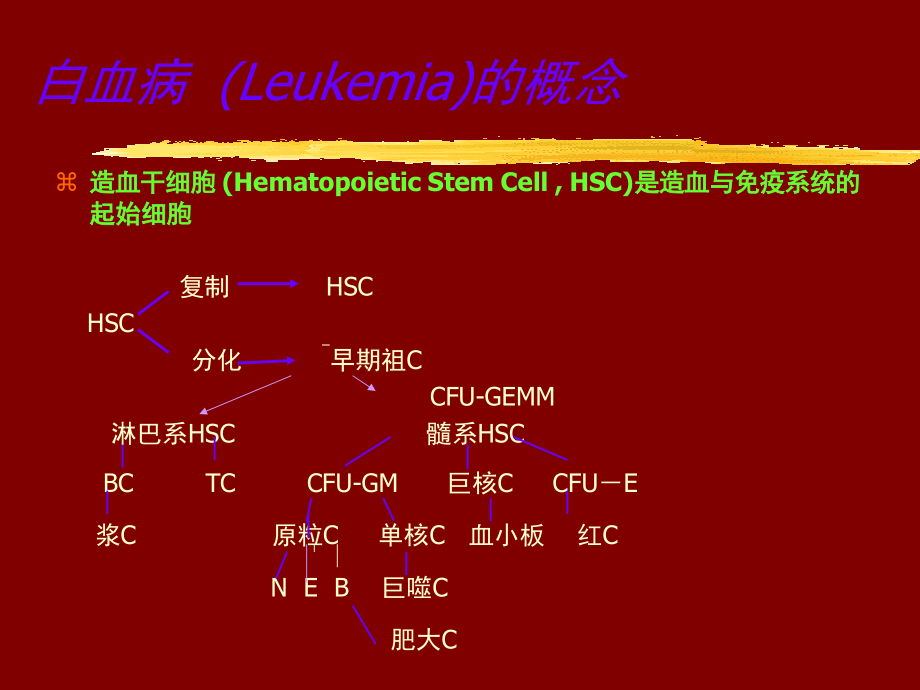 白血病课件_6_第3页