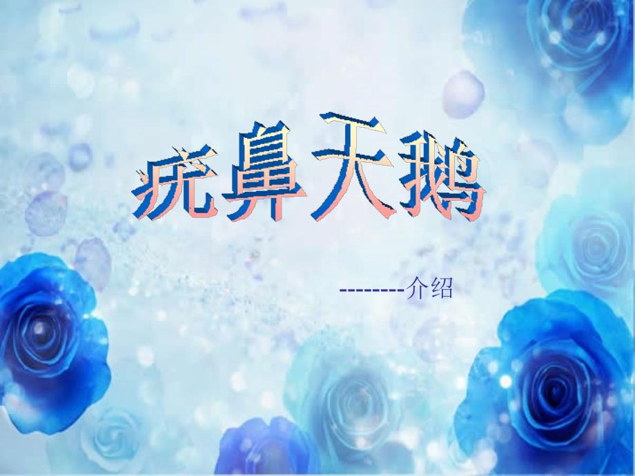 疣鼻天鹅课件_1_第1页