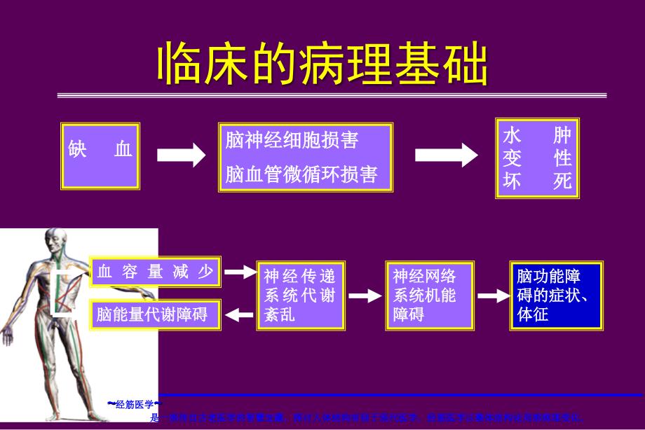 脑梗死的分型分期治疗课件_第2页