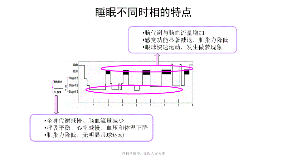 常见睡眠障碍的识别与处理孙伟may＿培训课件_第4页