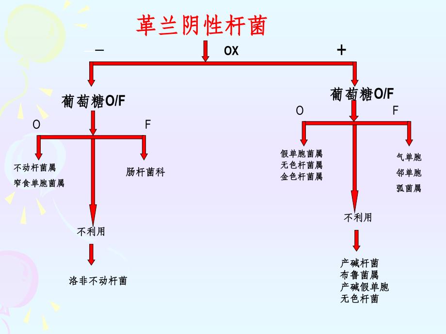 微生物检验第八章非发酵阴杆课件_第3页