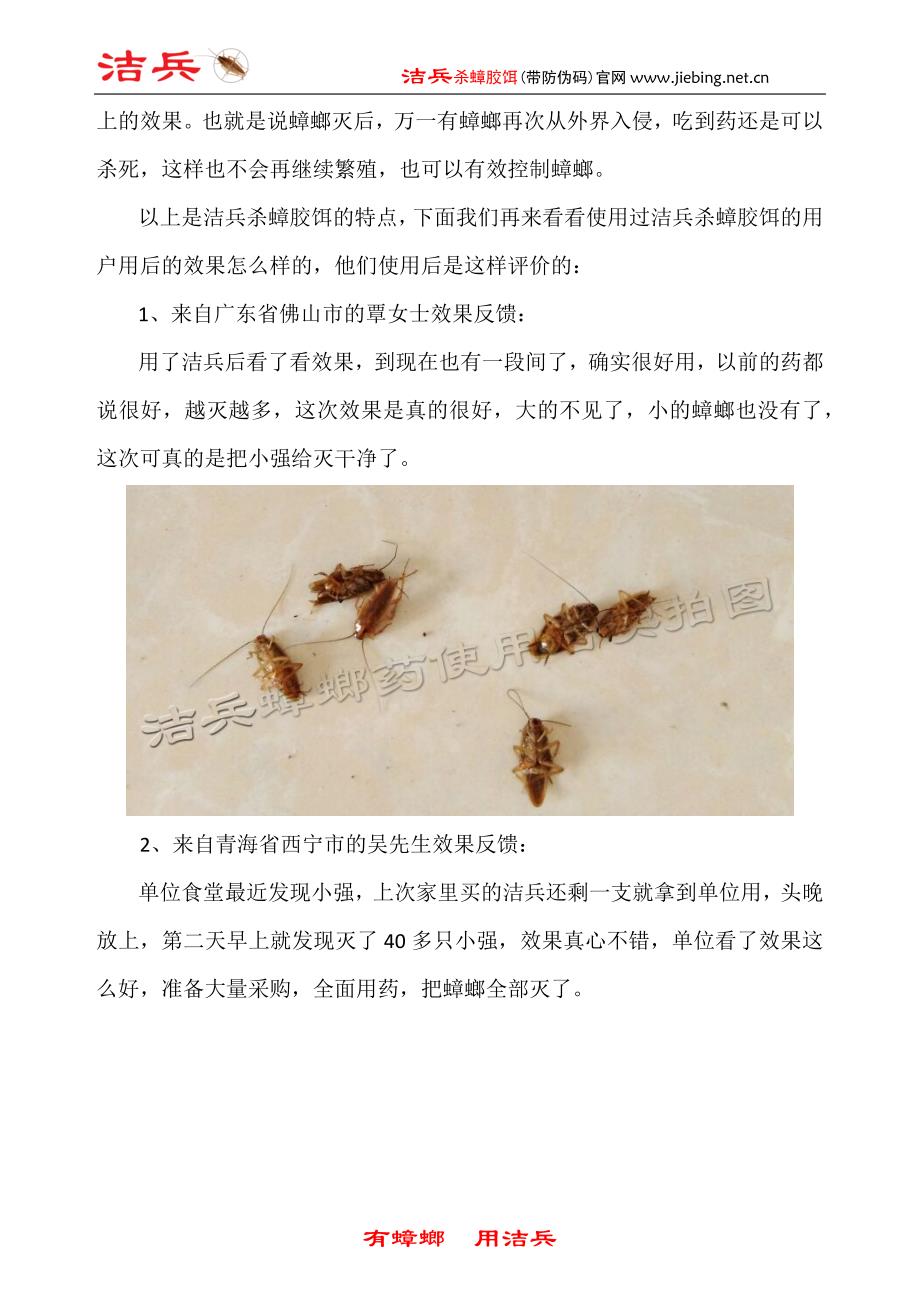 蟑螂药哪种好 蟑螂药排行榜_第4页