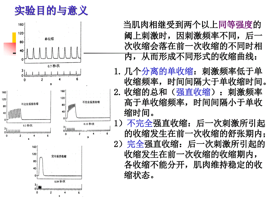 课件肌肉神经（精品）_第3页