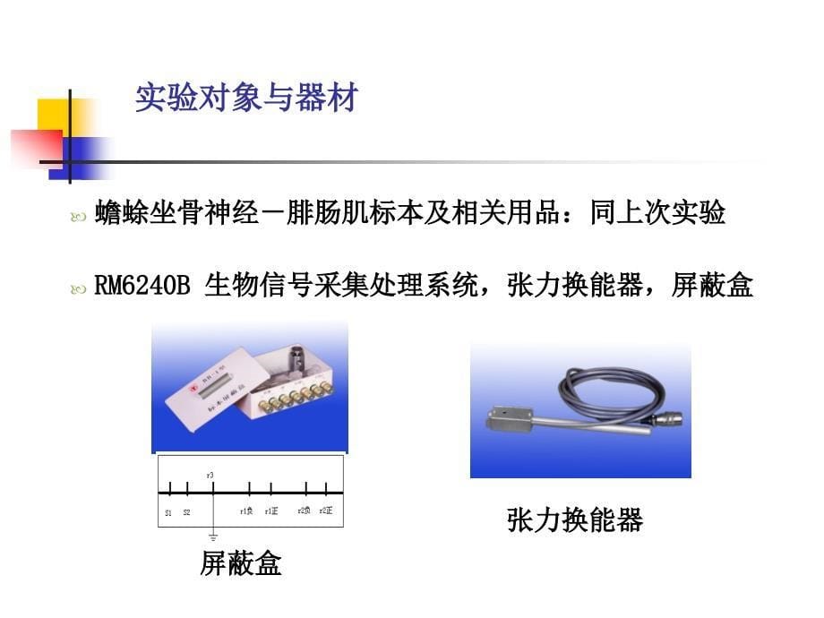 课件肌肉神经（精品）_第5页