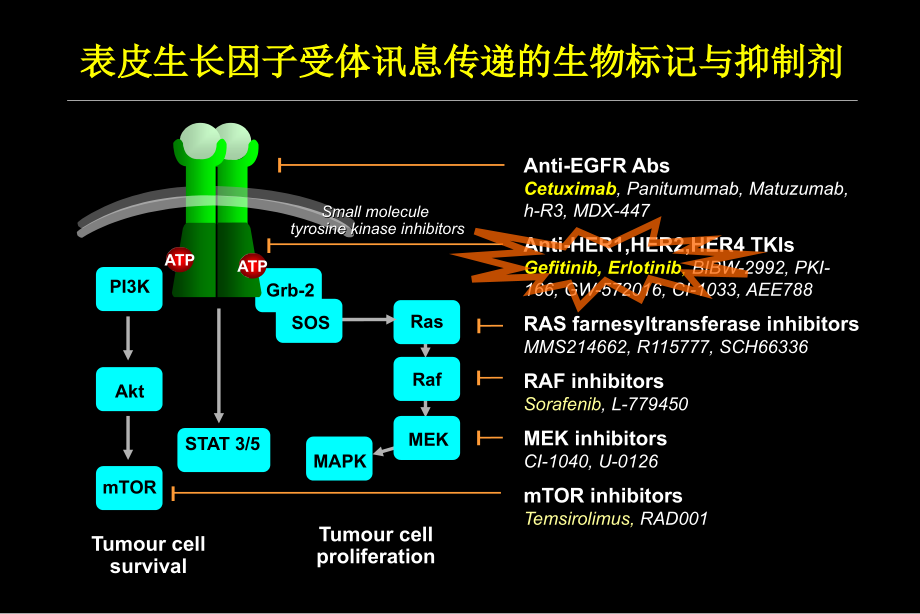 晚期非小细胞肺癌表皮生长因子受体酪氨酸抑制剂的最佳治疗易瑞沙与特罗凯的比较课件_第2页