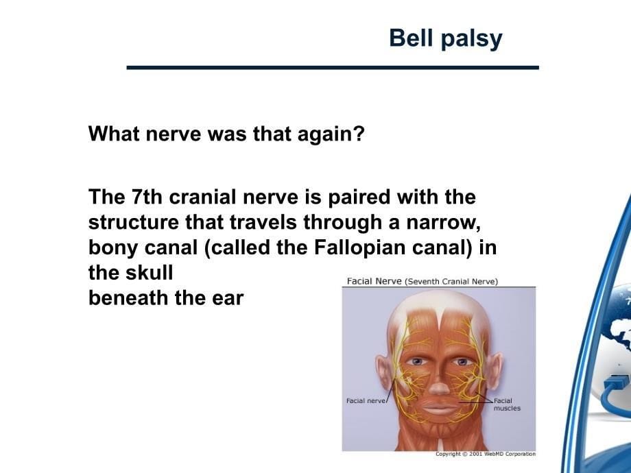 特发性面神经麻痹bellpalsy ppt课件_第5页