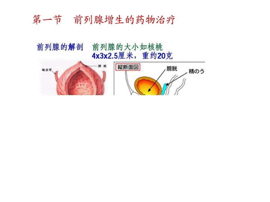 男人必须了解男性性功能障碍（病因表现及治疗）课件_第2页