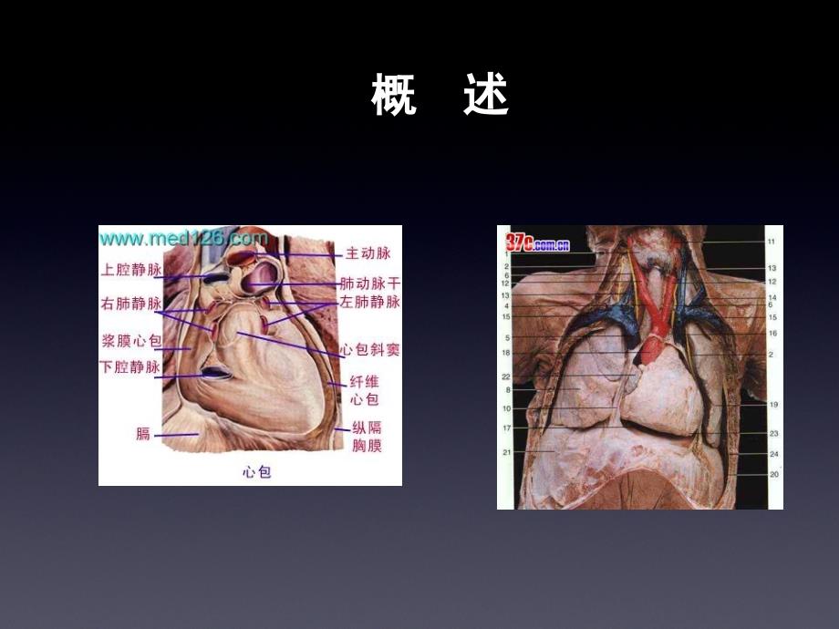 心包炎5年制本科教学课件_1_第3页