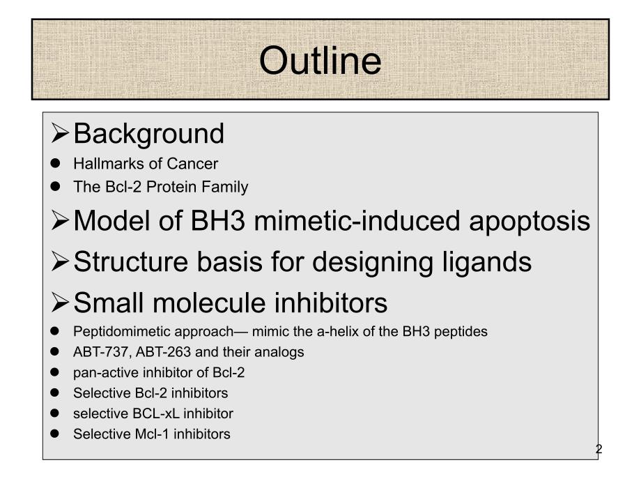 医学以bcl2蛋白家族为靶点的抗肿瘤药物设计_第2页