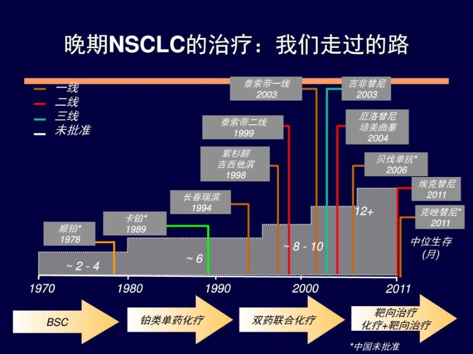 突变的非小细胞肺癌患者一线治疗基础医学医药卫生专业资料课件_第2页