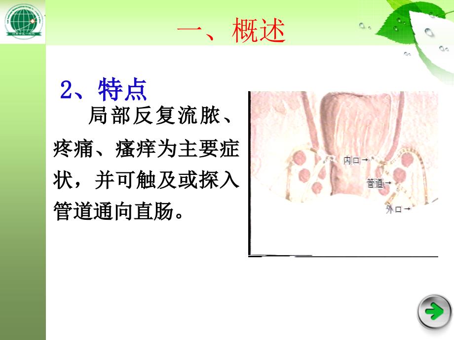 中医外科学多媒体课件 肛门直肠疾病_第4页